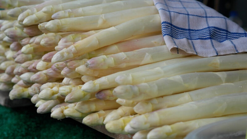Risotto con asparagi bianchi di Cantello IGP e timo fresco